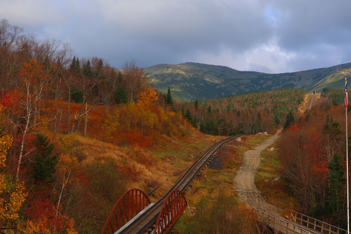 Foliage timing